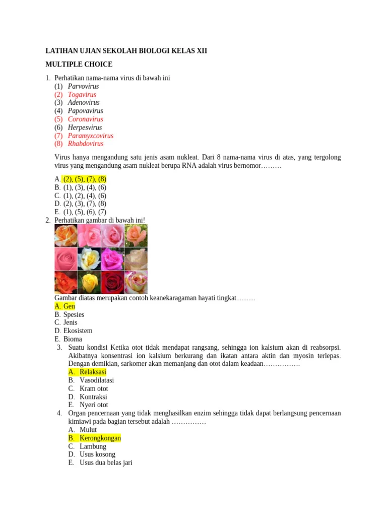 Latihan Ujian Biologi Kelas XII PDF
