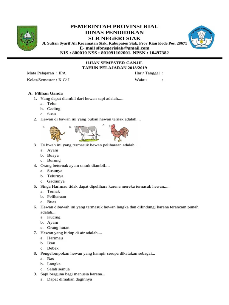 5 Kumpulan Soal KMN IPA Kelas 3 yang Terbukti Efektif di 2026