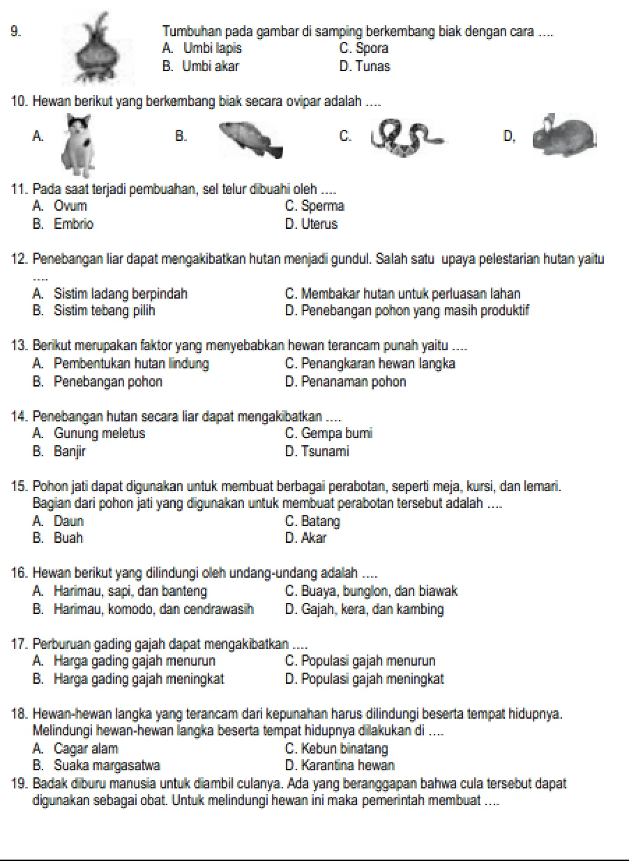 Latihan Soal Kelas 6 Ipa MATERI GURU