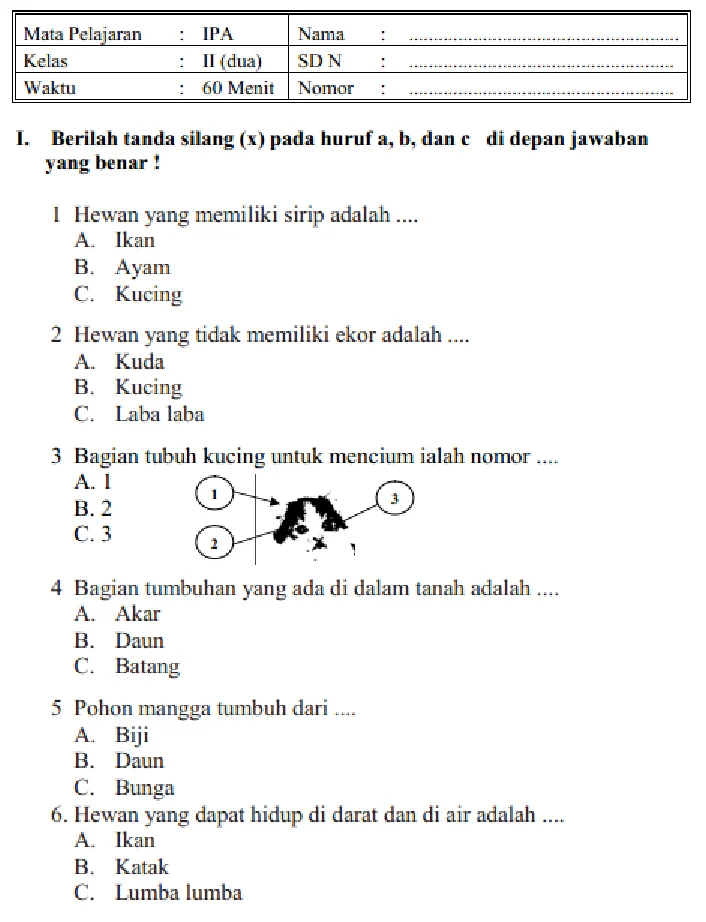 Ternyata Ini Dia Contoh Soal IPA MID SD Kelas 2 Tahun 2017 yang Sering Muncul di Lembar Kerja Siswa
