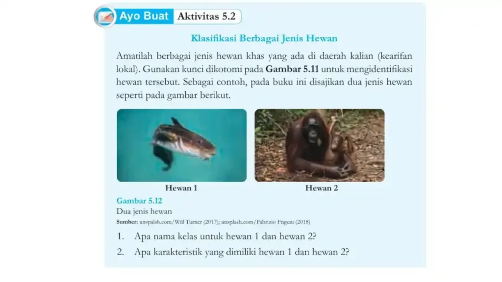 Ternyata Ini Dia Contoh Soal IPA UKK SMP Kelas 8 Semester 2 Kurikulum 2006 yang Sering Muncul