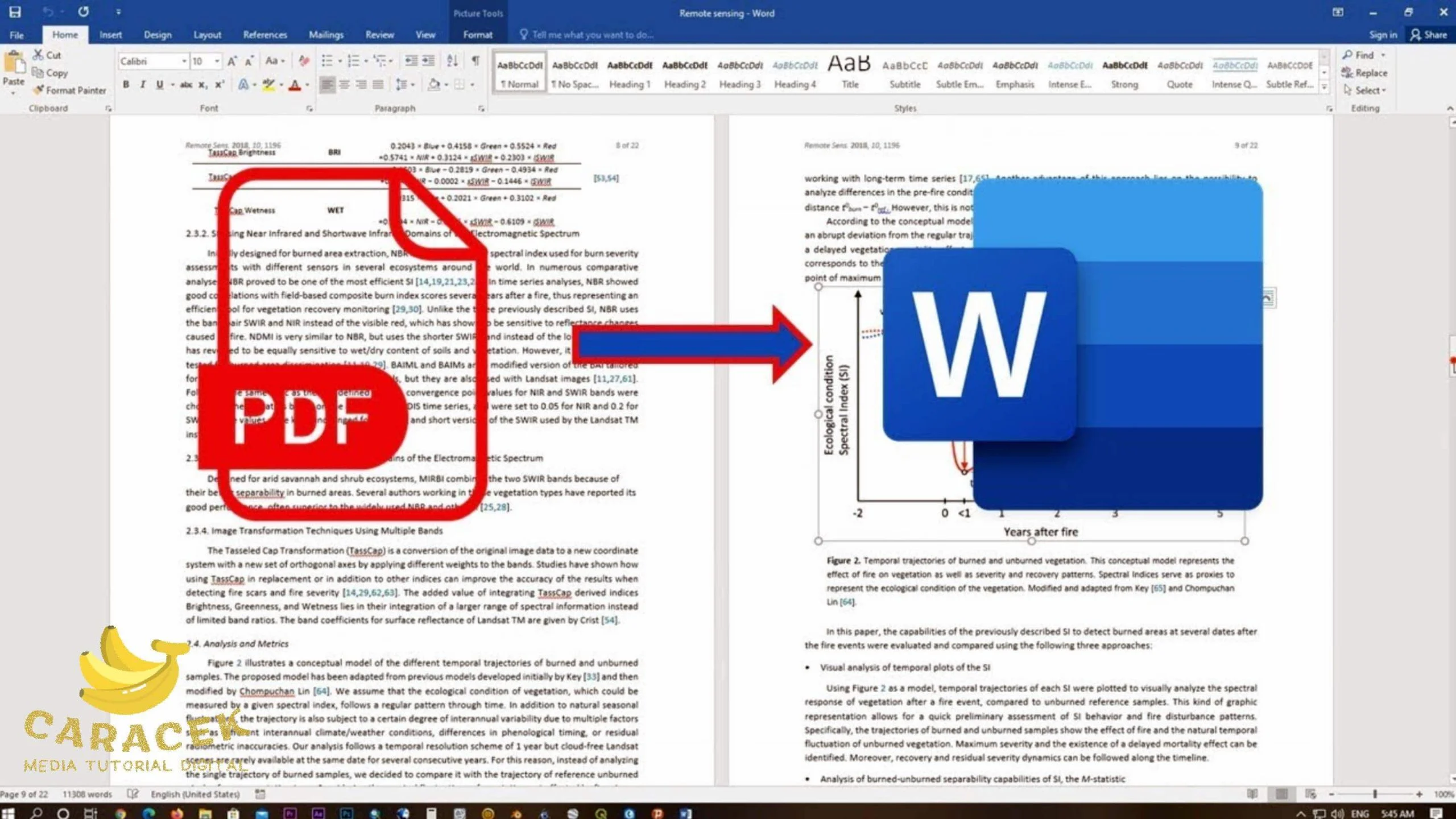 Terungkap Cara Cepat Mengubah File Dari PDF ke Word Sebelum WordPad Resmi Hilang