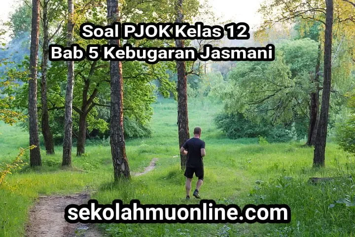 Wajib Tahu! Ini Kumpulan Contoh Soal Penjas Kelas 12 Semester 2 Tentang Kebugaran Jasmani